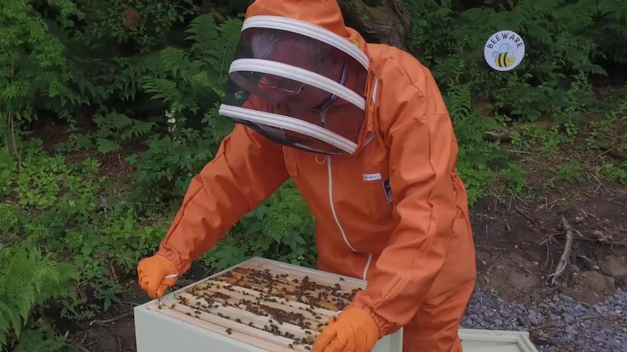 فيلا The Bee Pods روسنوولاغ المظهر الخارجي الصورة